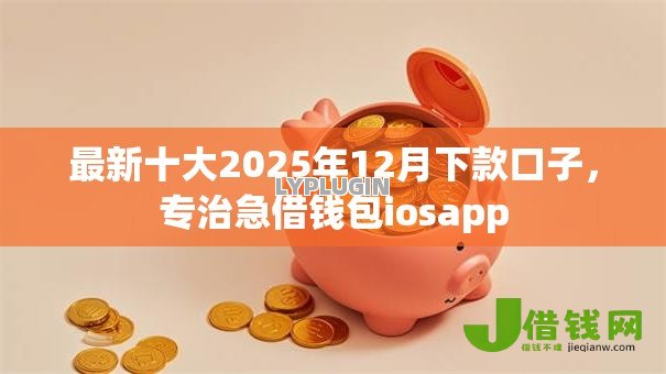 最新十大2025年12月下款口子,专治急借钱包iosapp 最新十大2025年12月下款口子,专治急借钱包iosapp