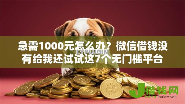 急需1000元怎么办？微信借钱没有给我还试试这7个无门槛平台