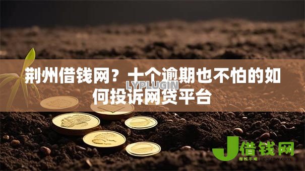 荆州借钱网？十个逾期也不怕的如何投诉网贷平台