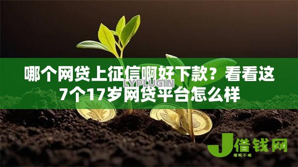 哪个网贷上征信啊好下款?看看这7个17岁网贷平台怎么样 哪个网贷上征信啊好下款?看看这7个17岁网贷平台怎么样