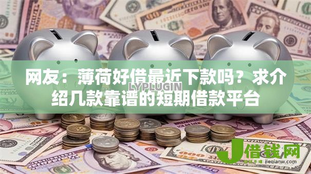 网友:薄荷好借最近下款吗?求介绍几款靠谱的短期借款平台 网友:薄荷好借最近下款吗?求介绍几款靠谱的短期借款平台