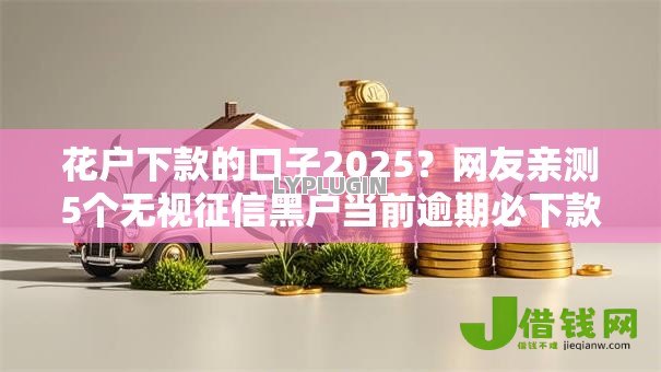 花户下款的口子2025？网友亲测5个无视征信黑户当前逾期必下款的口子盘点