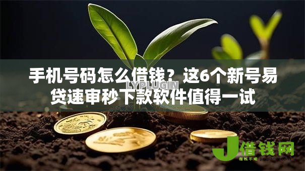 手机号码怎么借钱？这6个新号易贷速审秒下款软件值得一试
