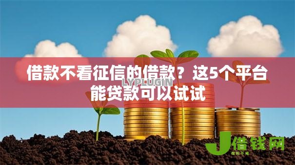 借款不看征信的借款?这5个平台能贷款可以试试 借款不看征信的借款?这5个平台能贷款可以试试
