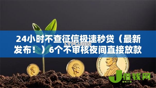 24小时不查征信极速秒贷（最新发布！）6个不审核夜间直接放款的网贷口子