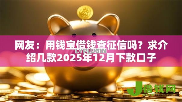 网友：用钱宝借钱查征信吗？求介绍几款2025年12月下款口子