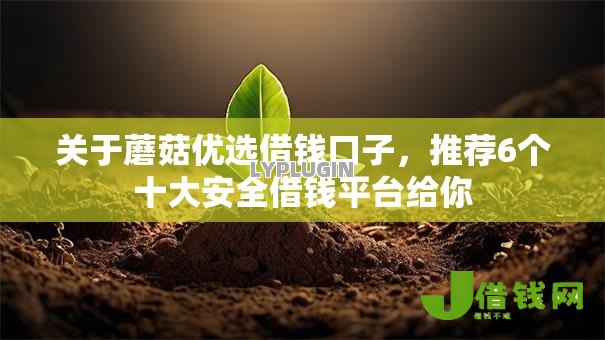 关于蘑菇优选借钱口子，推荐6个十大安全借钱平台给你