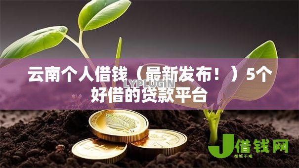 云南个人借钱（最新发布！）5个好借的贷款平台