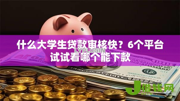 什么大学生贷款审核快？6个平台试试看哪个能下款