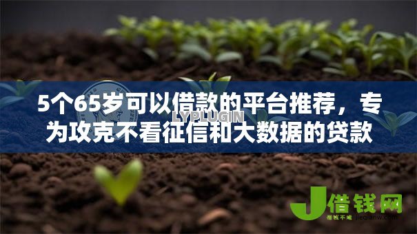 5个65岁可以借款的平台推荐,专为攻克不看征信和大数据的贷款难题 5个65岁可以借款的平台推荐,专为攻克不看征信和大数据的贷款难题