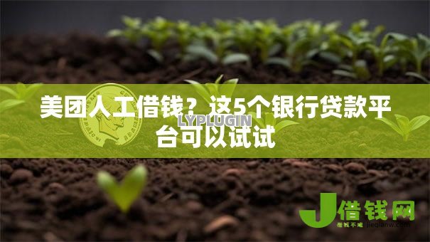 美团人工借钱?这5个银行贷款平台可以试试 美团人工借钱?这5个银行贷款平台可以试试