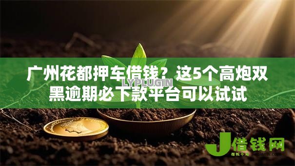 广州花都押车借钱？这5个高炮双黑逾期必下款平台可以试试