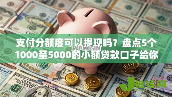 支付分额度可以提现吗?盘点5个1000至5000的小额贷款口子给你参考 支付分额度可以提现吗?盘点5个1000至5000的小额贷款口子给你参考