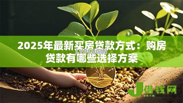 2025年最新买房贷款方式:购房贷款有哪些选择方案 2025年最新买房贷款方式:购房贷款有哪些选择方案