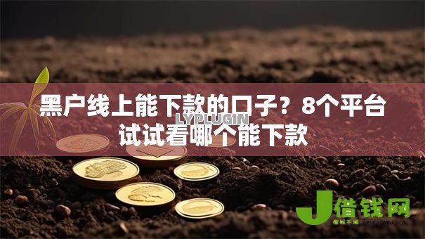黑户线上能下款的口子?8个平台试试看哪个能下款 黑户线上能下款的口子?8个平台试试看哪个能下款