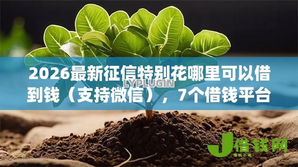 2026最新征信特别花哪里可以借到钱（支持微信），7个借钱平台不看综合评估的app无私分享