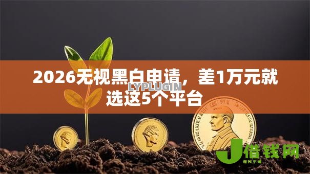 2026无视黑白申请,差1万元就选这5个平台 2026无视黑白申请,差1万元就选这5个平台