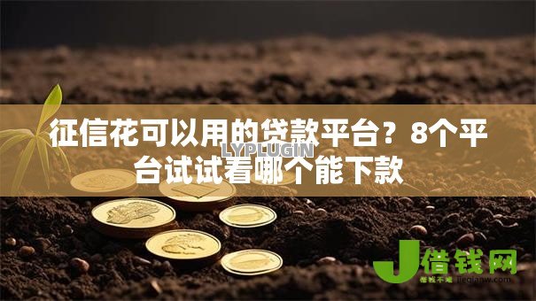 征信花可以用的贷款平台?8个平台试试看哪个能下款 征信花可以用的贷款平台?8个平台试试看哪个能下款