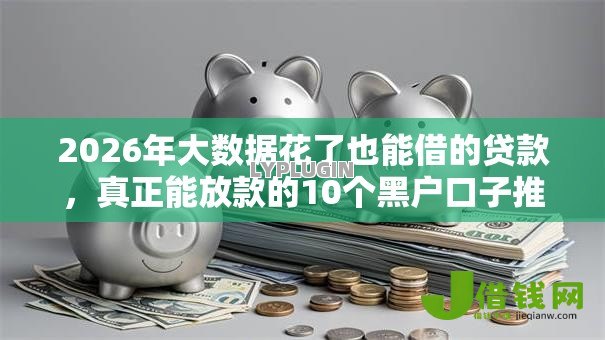 2026年大数据花了也能借的贷款,真正能放款的10个黑户口子推荐 2026年大数据花了也能借的贷款,真正能放款的10个黑户口子推荐