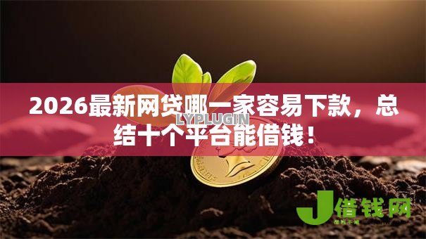 2026最新网贷哪一家容易下款，总结十个平台能借钱！