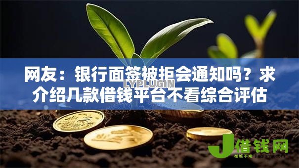 网友：银行面签被拒会通知吗？求介绍几款借钱平台不看综合评估的软件