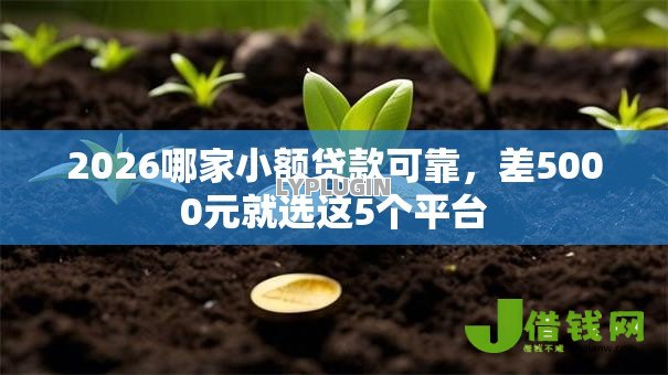2026哪家小额贷款可靠,差5000元就选这5个平台 2026哪家小额贷款可靠,差5000元就选这5个平台