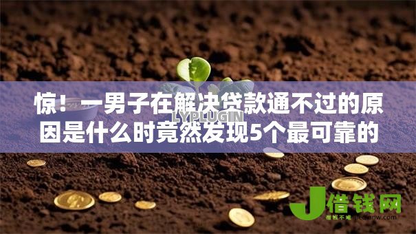 惊!一男子在解决贷款通不过的原因是什么时竟然发现5个最可靠的贷款平台,事后分享了出来 惊!一男子在解决贷款通不过的原因是什么时竟然发现5个最可靠的贷款平台,事后分享了出来