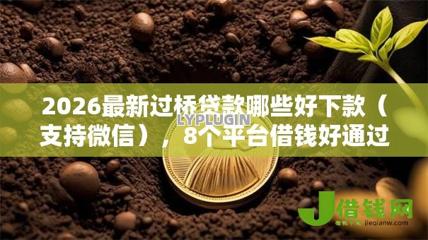 2026最新过桥贷款哪些好下款（支持微信），8个平台借钱好通过无私分享