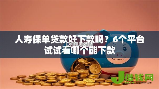人寿保单贷款好下款吗？6个平台试试看哪个能下款