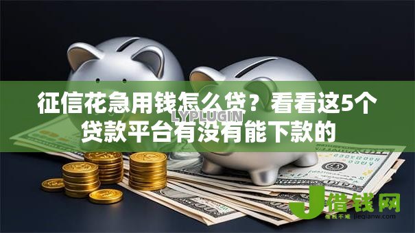 征信花急用钱怎么贷?看看这5个贷款平台有没有能下款的 征信花急用钱怎么贷?看看这5个贷款平台有没有能下款的