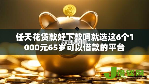 任天花贷款好下款吗就选这6个1000元65岁可以借款的平台