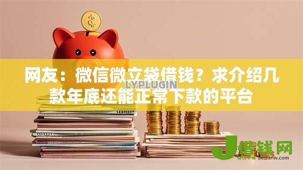 网友:微信微立袋借钱?求介绍几款年底还能正常下款的平台 网友:微信微立袋借钱?求介绍几款年底还能正常下款的平台