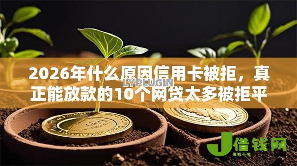 2026年什么原因信用卡被拒,真正能放款的10个网贷太多被拒平台还能贷推荐 2026年什么原因信用卡被拒,真正能放款的10个网贷太多被拒平台还能贷推荐