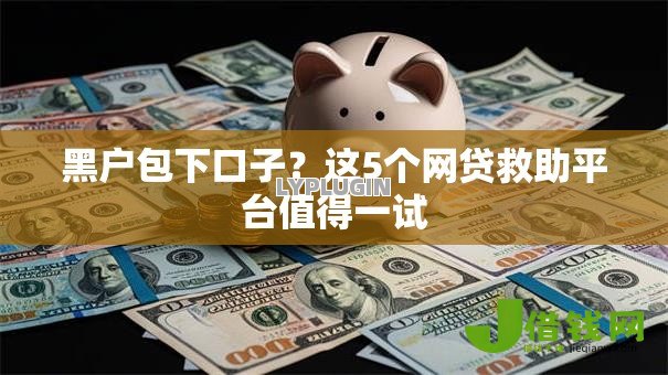 黑户包下口子？这5个网贷救助平台值得一试