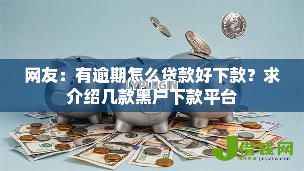 网友:有逾期怎么贷款好下款?求介绍几款黑户下款平台 网友:有逾期怎么贷款好下款?求介绍几款黑户下款平台