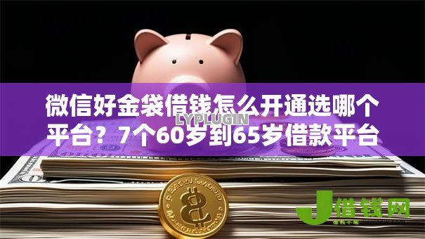 微信好金袋借钱怎么开通选哪个平台?7个60岁到65岁借款平台推荐 微信好金袋借钱怎么开通选哪个平台?7个60岁到65岁借款平台推荐