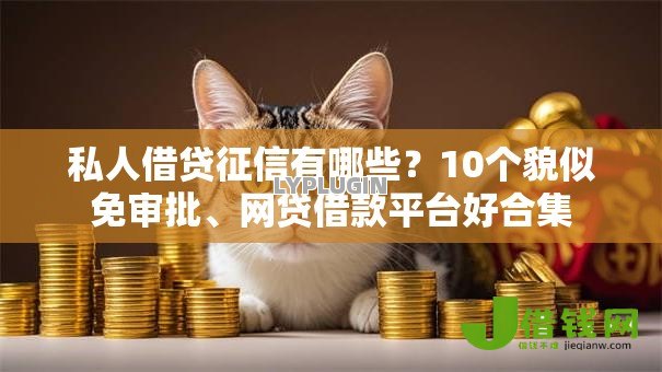 私人借贷征信有哪些？10个貌似免审批、网贷借款平台好合集