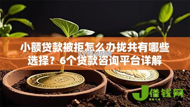 小额贷款被拒怎么办拢共有哪些选择？6个贷款咨询平台详解