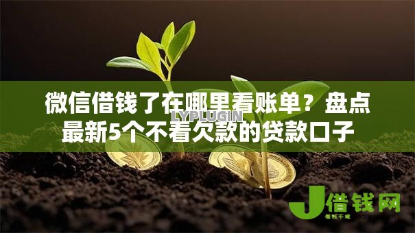 微信借钱了在哪里看账单?盘点最新5个不看欠款的贷款口子 微信借钱了在哪里看账单?盘点最新5个不看欠款的贷款口子