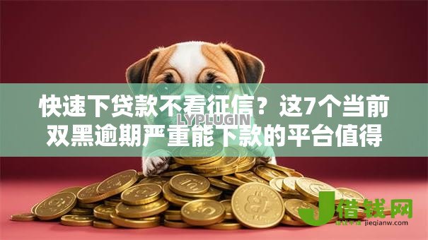 快速下贷款不看征信？这7个当前双黑逾期严重能下款的平台值得一试
