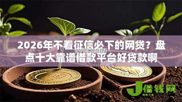 2026年不看征信必下的网贷？盘点十大靠谱借款平台好贷款啊