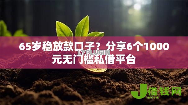 65岁稳放款口子？分享6个1000元无门槛私借平台