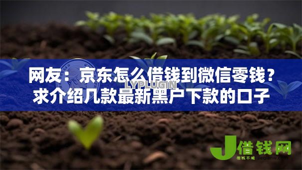 网友:京东怎么借钱到微信零钱?求介绍几款最新黑户下款的口子 网友:京东怎么借钱到微信零钱?求介绍几款最新黑户下款的口子