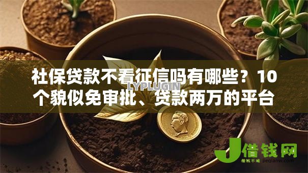 社保贷款不看征信吗有哪些?10个貌似免审批、贷款两万的平台合集 社保贷款不看征信吗有哪些?10个貌似免审批、贷款两万的平台合集