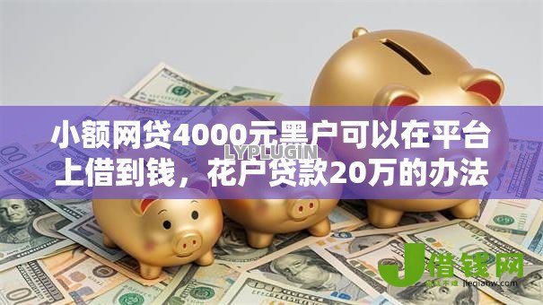 小额网贷4000元黑户可以在平台上借到钱,花户贷款20万的办法的6个平台介绍 小额网贷4000元黑户可以在平台上借到钱,花户贷款20万的办法的6个平台介绍