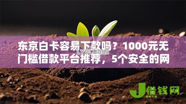 东京白卡容易下款吗?1000元无门槛借款平台推荐,5个安全的网贷平台盘点 东京白卡容易下款吗?1000元无门槛借款平台推荐,5个安全的网贷平台盘点