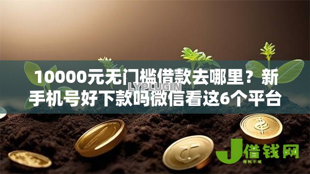 10000元无门槛借款去哪里?新手机号好下款吗微信看这6个平台 10000元无门槛借款去哪里?新手机号好下款吗微信看这6个平台