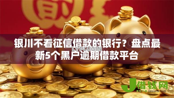 银川不看征信借款的银行?盘点最新5个黑户逾期借款平台 银川不看征信借款的银行?盘点最新5个黑户逾期借款平台