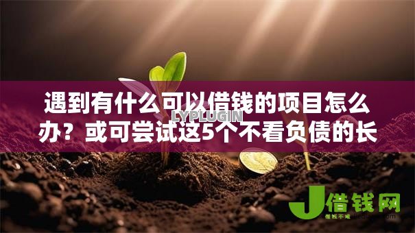 遇到有什么可以借钱的项目怎么办?或可尝试这5个不看负债的长期网贷平台 遇到有什么可以借钱的项目怎么办?或可尝试这5个不看负债的长期网贷平台