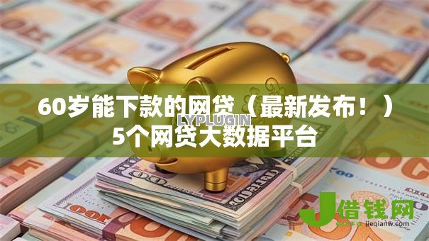 60岁能下款的网贷（最新发布！）5个网贷大数据平台